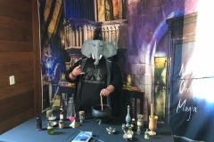 Paquiderme Punk preparando umas poções em Hogwarts